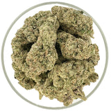 Bulk THCa AAA Exotics Indoor Flower - Donny Burger (34.60%)