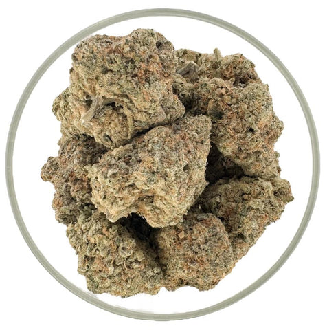 Bulk THCa AAA Exotics Flower - Sherbert (32.34%) - Hemp Wholesaler