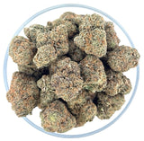 Bulk THCa AAA Exotics Indoor Flower 1lb - Raspberry Gas (30.25%)