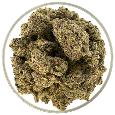 Bulk THCa AAA Exotics Indoor Flower - Cherry Pie Runtz (25.43%) - 1lb - Hemp Wholesaler