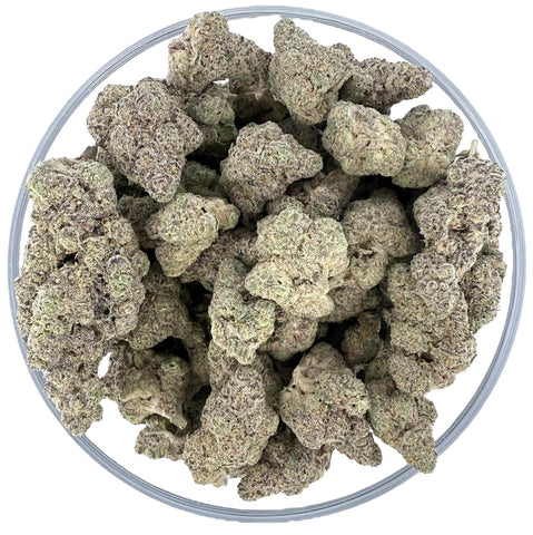 Bulk THCa AAA Exotics Indoor Flower - Gello Shots (38.94%) - Bandit Distribution