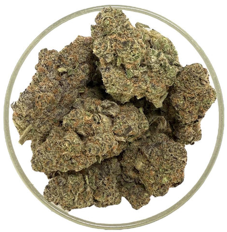 Bulk THCa AAA Exotics Indoor Flower - Governmint Oasis (25.75%) - 1lb - Hemp Wholesaler