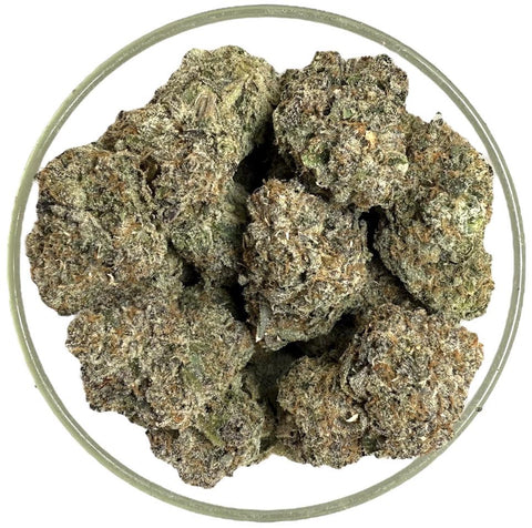 Bulk THCa AAA Exotics Indoor Flower - Midnight Runtz (30.62%) - 1lb - Hemp Wholesaler