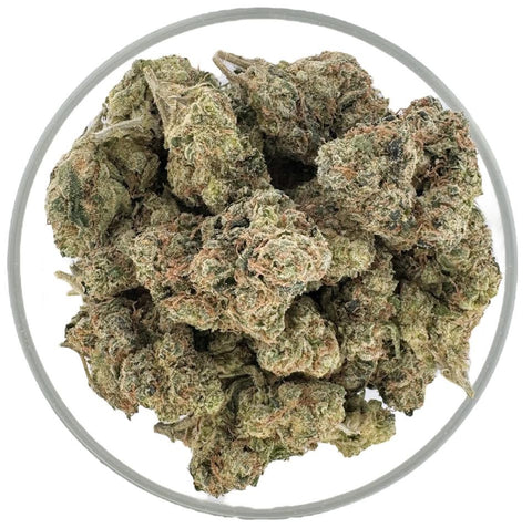 Bulk THCa AAA Exotics Indoor Flower - Pure Michigan (23.04%) - Bandit Distribution