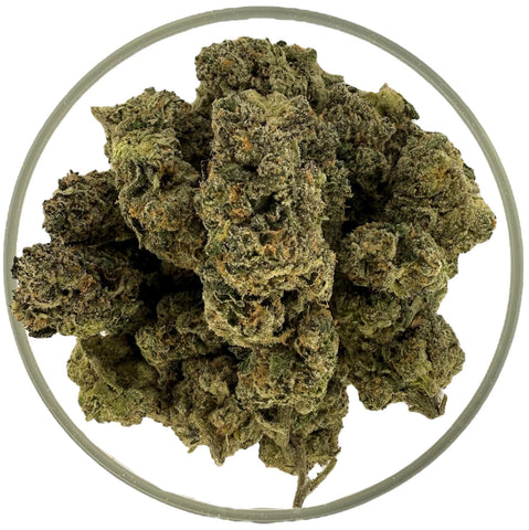 Bulk THCa AAA Exotics Indoor Flower - Toxic Candy (29.08%) - Bandit Distribution