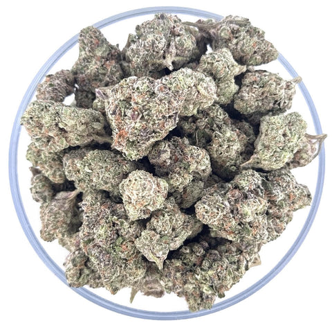 Bulk THCa AAA Flower - Purple Gusherz - 31.29% - Bandit Distribution