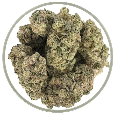 Bulk THCa Exotics Flower - Maui Wowie (31.61%) - Bandit Distribution