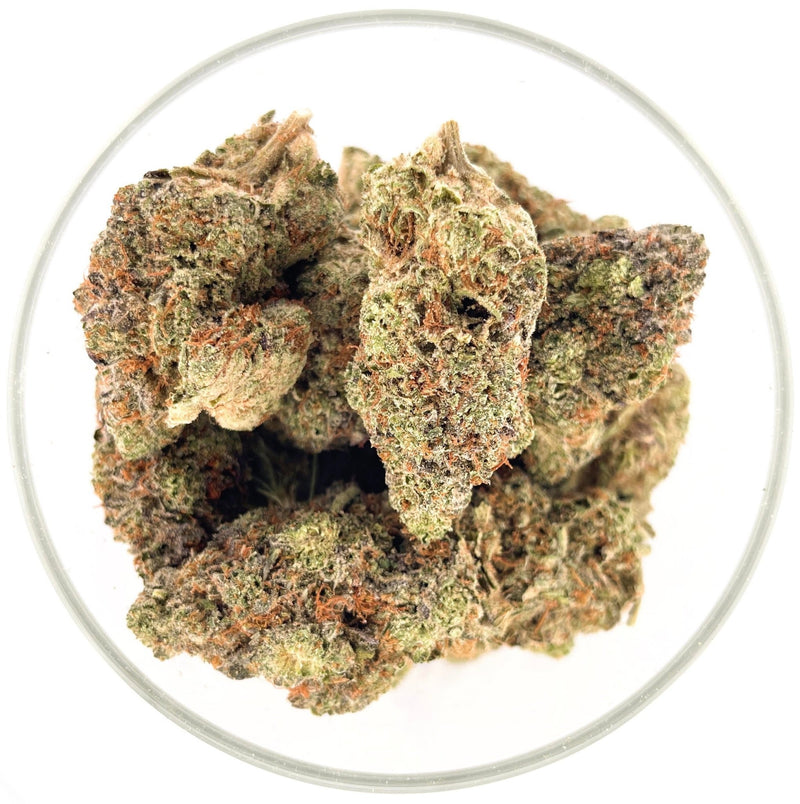 Buy Wholesale Delta 8, HHC, Legal THC & Bulk Discount Hemp #1 Supplier